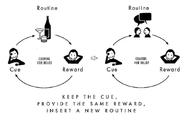 los componentes de un hábito los componentes de un hábito